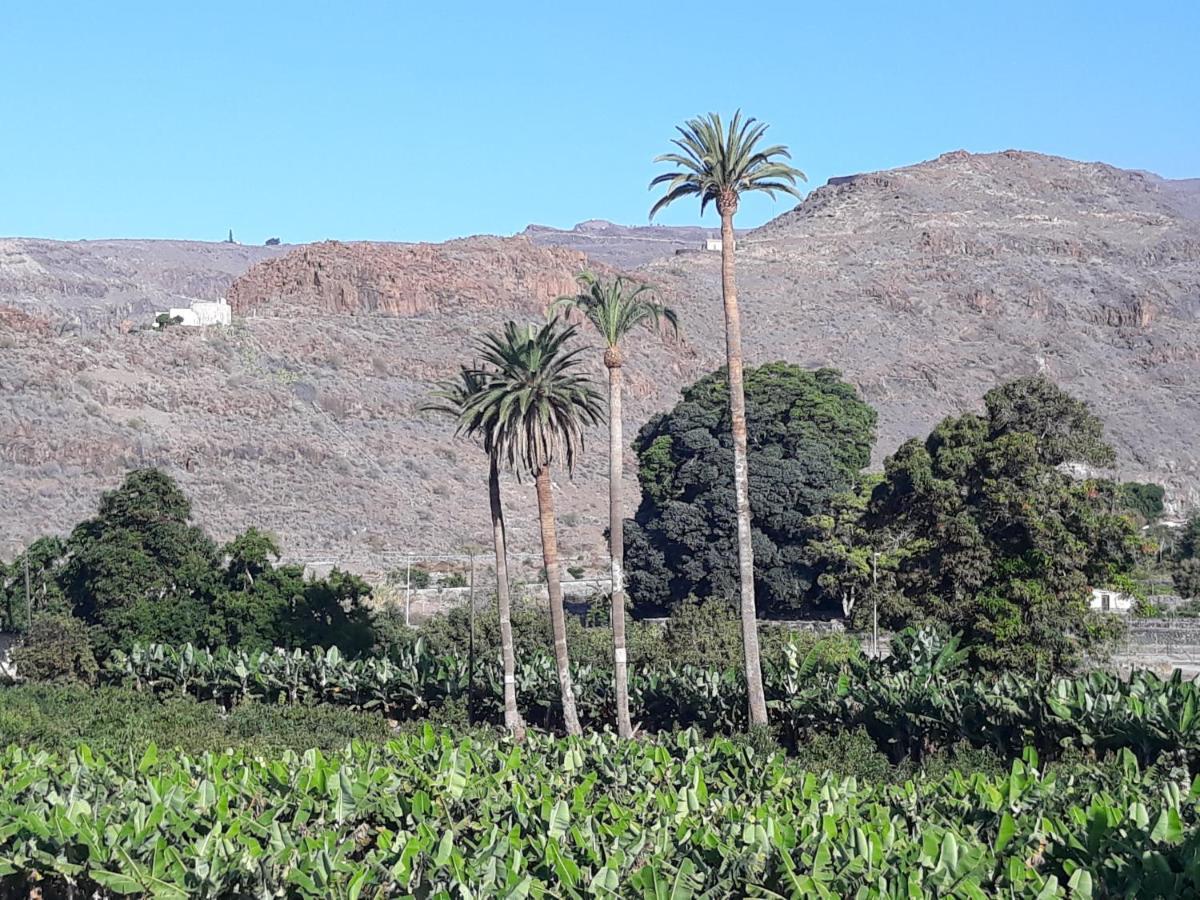 Los Olivos Playa de Santiago  Extérieur photo
